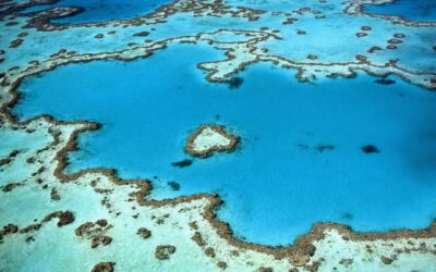 Wielka Rafa Koralowa Australia – zaprasza na wakacje