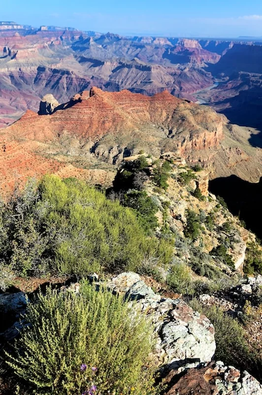 Widok na Słynny Wielki Kanion w Arizonie, USA