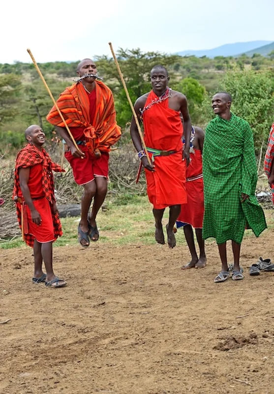 Masajowie tańczą tradycyjne skoki w Masai Mara, Kenia