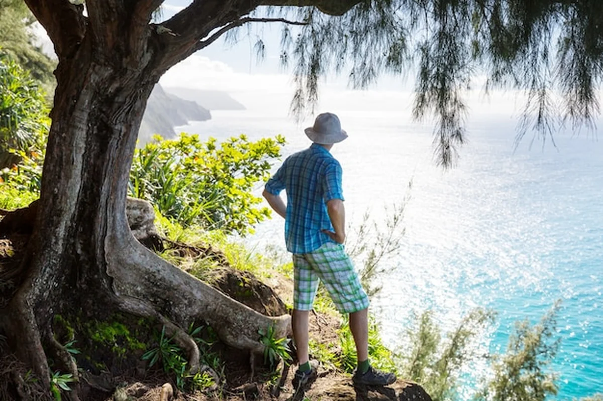 Turysta na szlaku w zielonej dżungli Hawajów