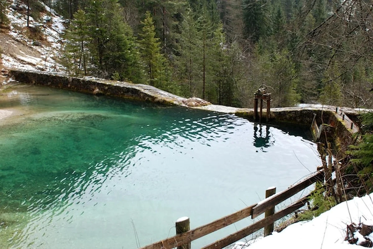 Jezioro pośród drzew w lesie
