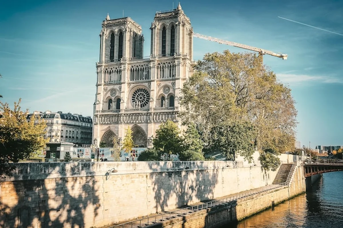 Katedra Notre-Dame w słoneczny dzień