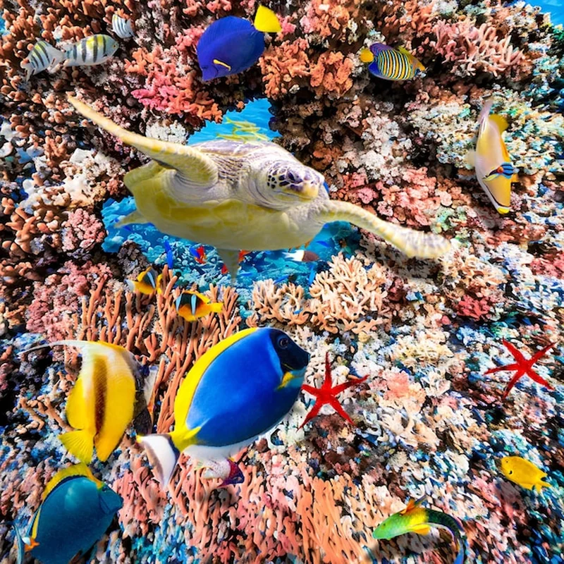 Oceanarium Łódź – co warto wiedzieć o miejskim ogrodzie zoologicznym?