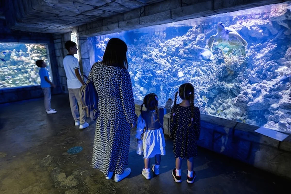 Rodzina oglądająca ryby i żółwia w oceanarium